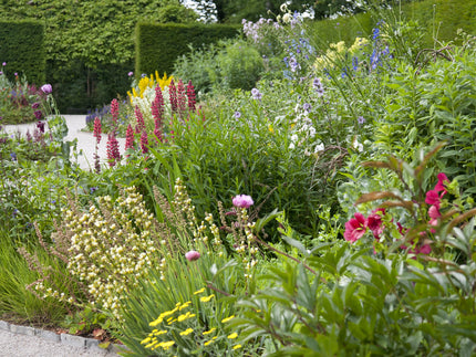 UK garden trends for 2025