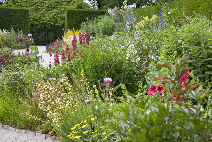 UK garden trends for 2025