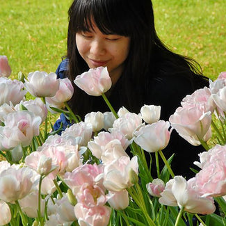 Spring bulbs